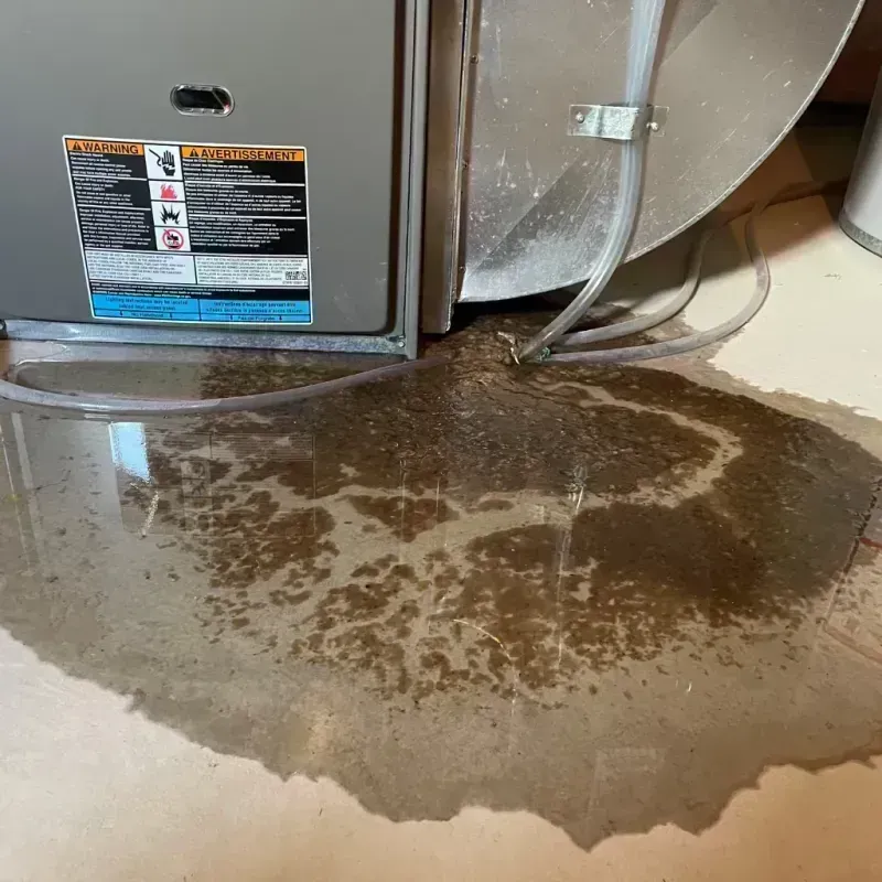 Appliance Leak Cleanup in Summit County, CO